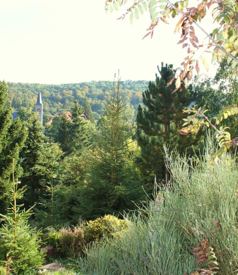 Ferienhaus Harzblick Güntersberge Εξωτερικό φωτογραφία