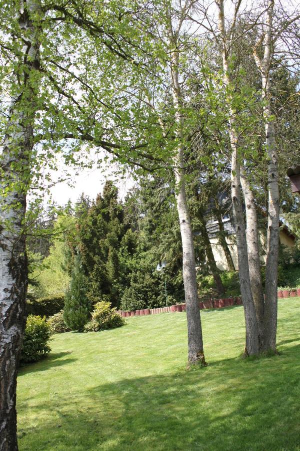 Ferienhaus Harzblick Güntersberge Εξωτερικό φωτογραφία